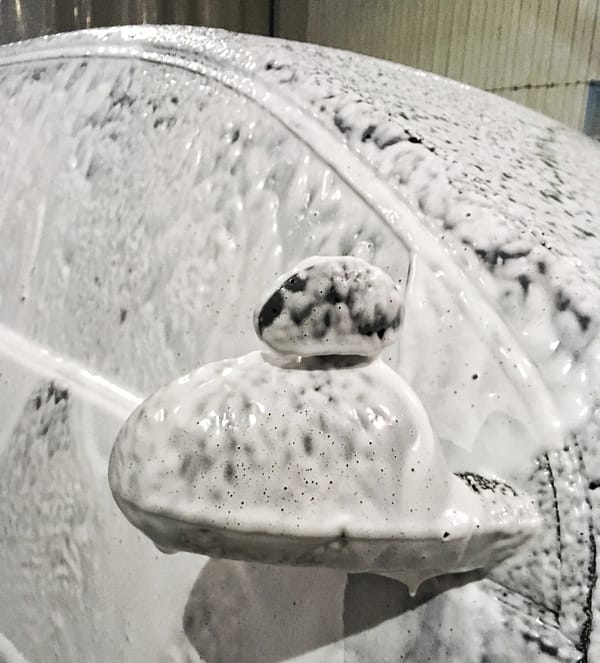 Cleaning car shampoo